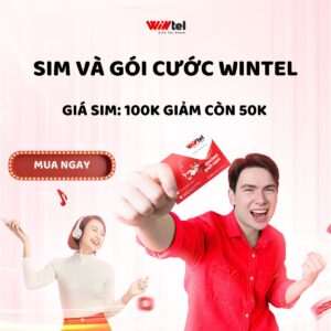 Wintel nhà mạng số thế hệ mới tại Việt Nam