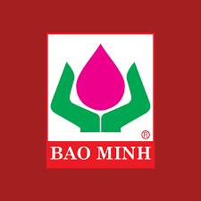Bảo Minh – Thương hiệu bảo hiểm uy tín hàng đầu Việt Nam