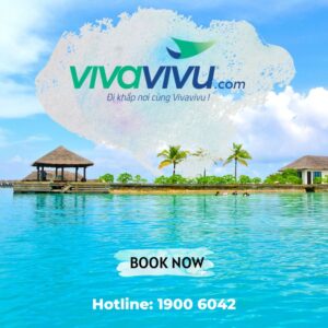 Vivavivu – Nền tảng đặt tour & combo du lịch giá tốt