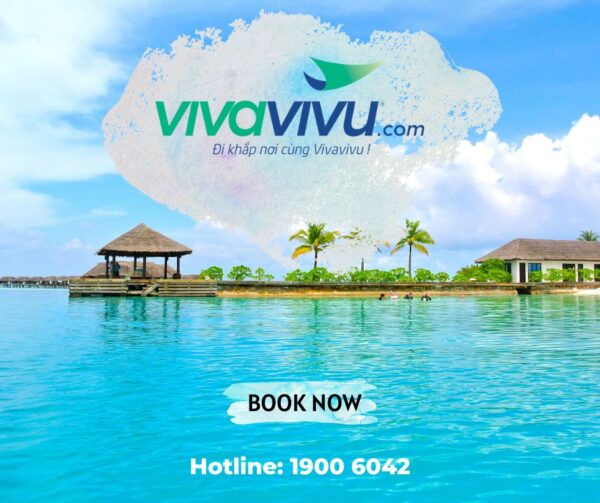 Vivavivu – Nền tảng đặt tour & combo du lịch giá tốt