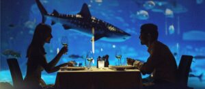 VinWonders Phú Quốc ẩm thực đại dương